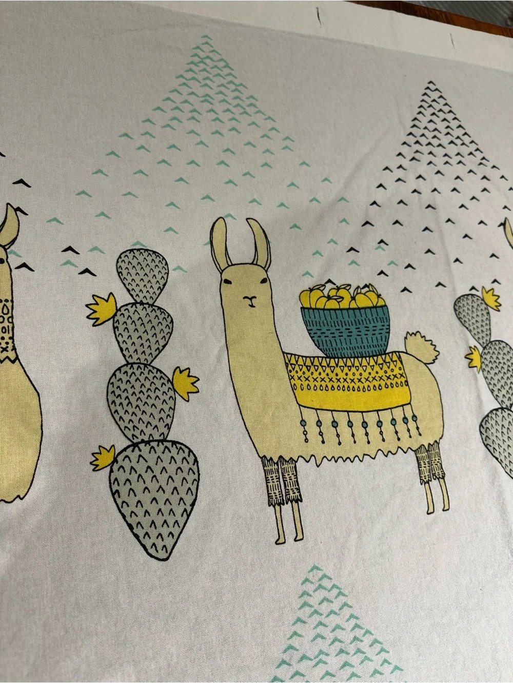 Danica Studio Llamarama Shower Curtain